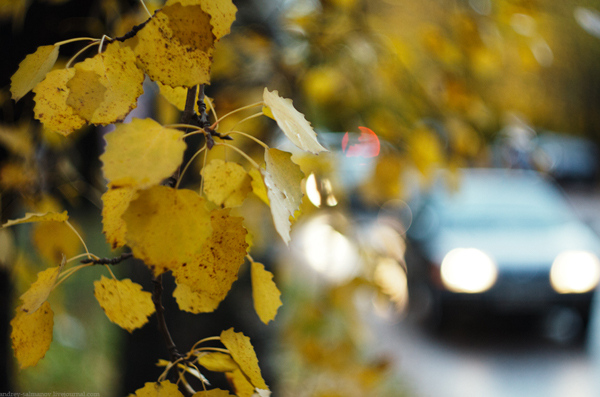 Объектив Гелиос 44М для Micro 4/3 - пример фото